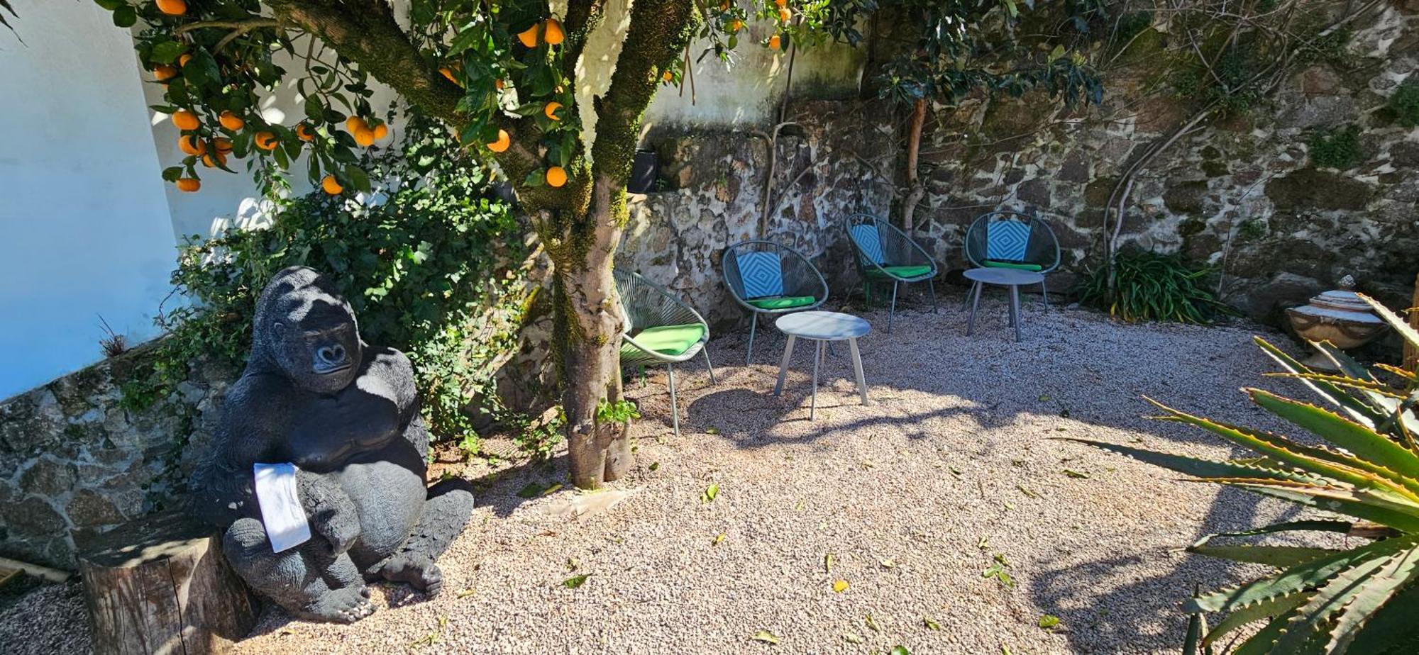 Casa Belavista Penela - Charming Guest House - Adults Only Exterior foto